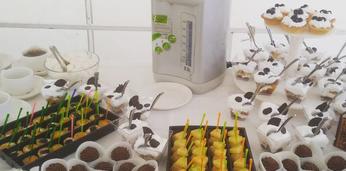 Меню для кофе-брейка стандарт на 10-12 персон